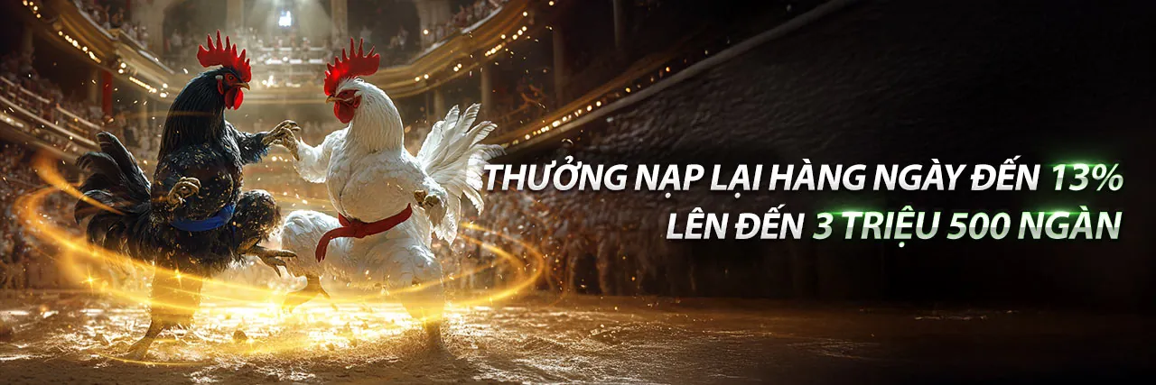 Đá Gà Trực Tuyến Thabet - Trải nghiệm cá cược đỉnh cao