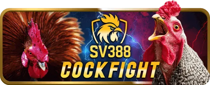 Trò chơi bài bàn Thabet